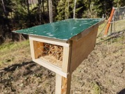 Domek dla pszczół ogrodowych murarek