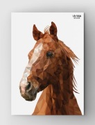 Plakat z koniem Wild