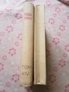Klaser ze znaczkami Polska rocznik 1980-81 niekompletny Tom XIV