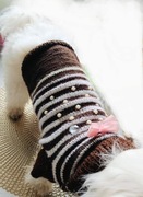 Sweterek dla psa S - wyrób własnoręczny