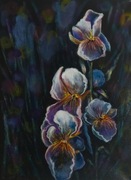 Irysy 30x40 Akryl na płótnie 
