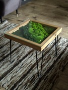 Stolik z Mchem i Świetlikami LED 50x50 cm Szkło Hartowane