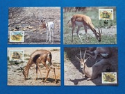 Zestaw 4 szt. widokówka widokówki WWF Somalia gazela