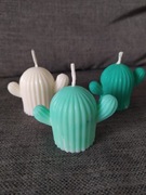 świeczka sojowa kaktus zestaw