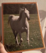 Album do zdjęć okładka konie 