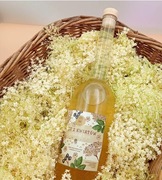 Ocet z kwiatów czarnego bzu