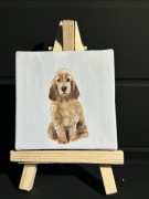 obrazek piesek cocker spaniel