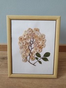 Obrazek z suszonych kwiatów 