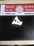 Darkness - In My Dreams (1.00 a.m. Remix ). Winyl 12 , jednostronny!