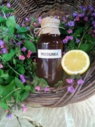 Syrop z miodunki regeneracja płuc  od Zielarza