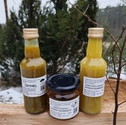 Moc mniszka lekarskiego: oxymel, syrop, ocet zestaw na odporność