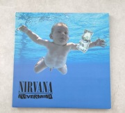 Nirvana Nevermind 4 X Picture Disc 20th 