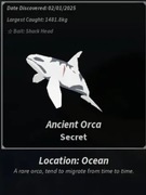 Fisch X1 Sparkling Shiny Giant Ancient Orca + Bonus! (RZADKIE!)