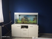 Akwarium Aquael Glossy White 260 l