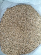 Pszenica 25kg dla kur gołębi czyszczona 2024r 