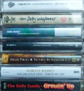 Skunk Anansie,Tom Pety,Jamiroquai,Steve Nicks,Shirley Bassey, Kelly Family