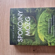 Spokojny mózg. Neuronaukowe i psychologiczne narzędzia budowania odporności
