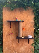 CZARNE DREWNIANE PÓŁKI Z DRAPAKIEM DLA KOTA