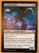 Gnarlbark Elm - Lorwyn Eclipsed