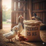 Pszenica Mocca 25 kg, pasza, karma dla drobiu kur, kaczek, gołębi, gęsi.
