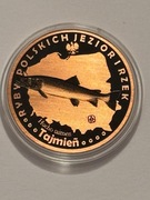 Ryba tajmień. Miedź fi 32 mm. 2013 Gyges