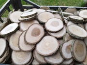 Plastry drewna dębowe 100sztuk!!!