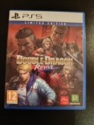 Gra double dragon PS5 