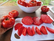 Pomidor Italian giant - 10 nasion kolekcjonerskich