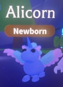 Adopt me alicorn (normal)
