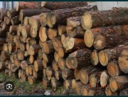 Drewno na opał sosna świerk orzech dąb sezonowane