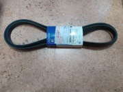 Chevrolet, pasek klinowy wielorowkowy, oryginalny General Motors, 96309968