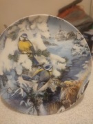 Talerz kolekcjonerski