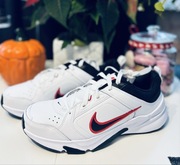 Sneakersy Nike Defyallday