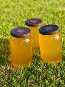 Miód z własnej pasieki