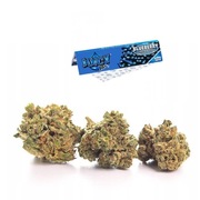 Susz Konopny Lemon Haze 4% - 1g