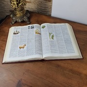 Encyklopedia Popularna PWN 1992 r. 