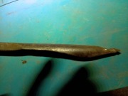 ŚWIDER RĘCZNY DO DREWNA 20 MM PRL Używany 