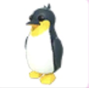 King Penguin - Adopt Me Roblox