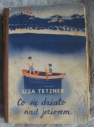 Co się działo nad jeziorem Liza Tetzner + gratis Twain - Królewicz i żebrak