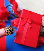 Broszka biedronka w czerwonym pudełku 