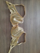 Freya biustonosz 65G