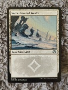 Snow-Covered Wastes karta MTG