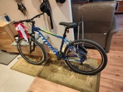 Rower Storm Shark 29'' 1.0 Męski