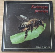 Zwierzęta pracują - Jane Burton
