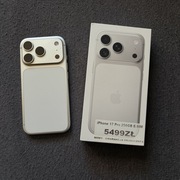 iPhone 17 Pro 256 GB Silver