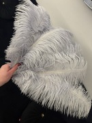 Pióra strusie szare 