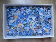Puzzle 2000 - Rozświetlone Wybrzeże Trefl Premium Quality