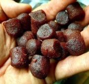 DBAITS PELLET BOILIES 18MM PIKANTNA KIEŁBASA 1kg