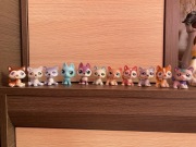 LPS Littlest pet shop psy husky zestaw