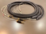 Acoustic Revive Power SPC-2.0F